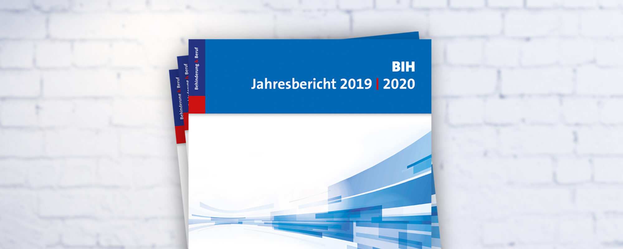 Cover des BIH-Jahresberichtes 2019-20. 