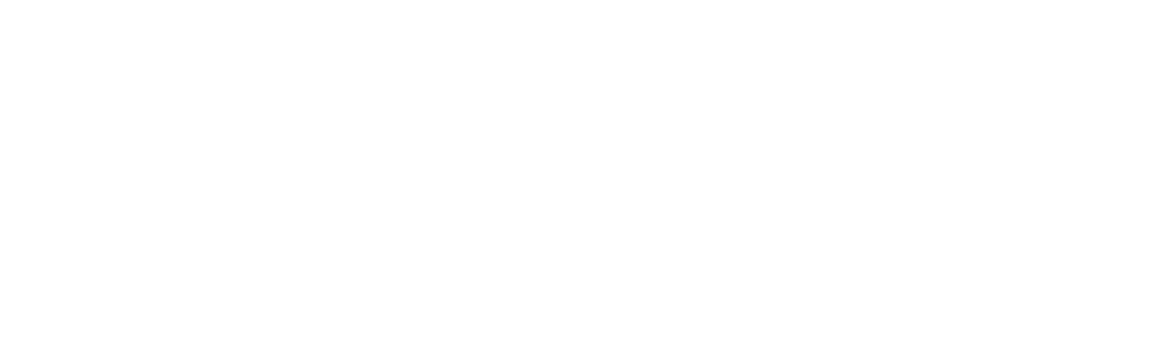 Logo des BIH in weiß auf transparentem Grund.
