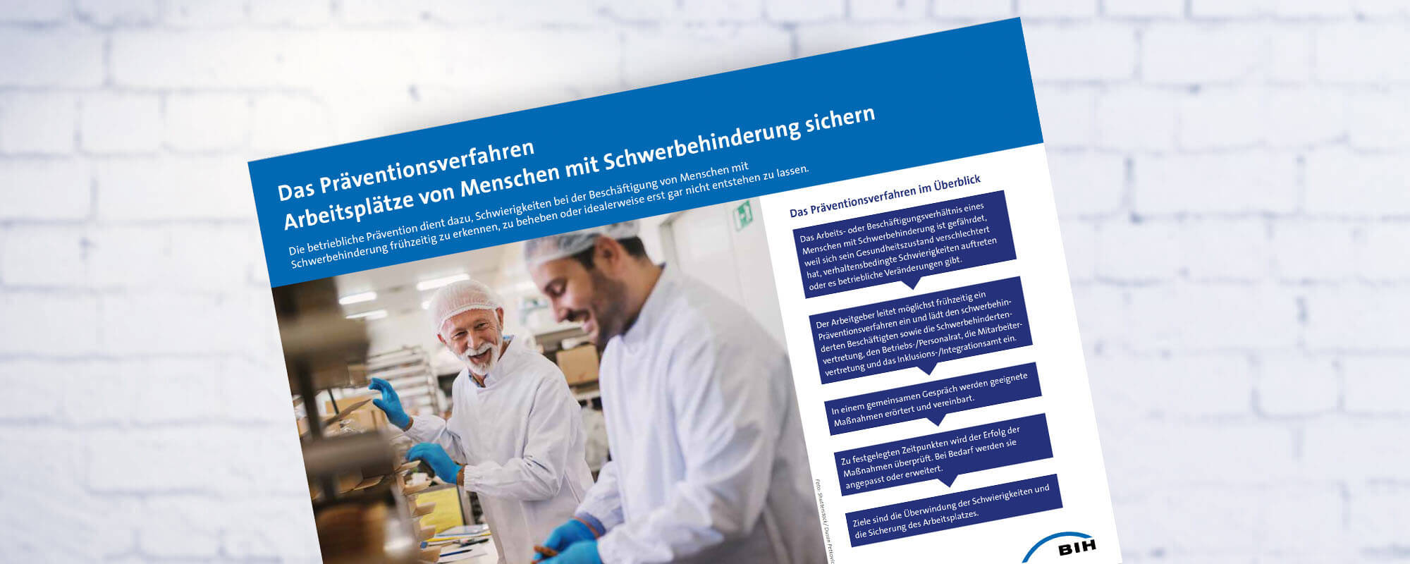 Abbildung des Flyers Das Präventionsverfahren der BIH