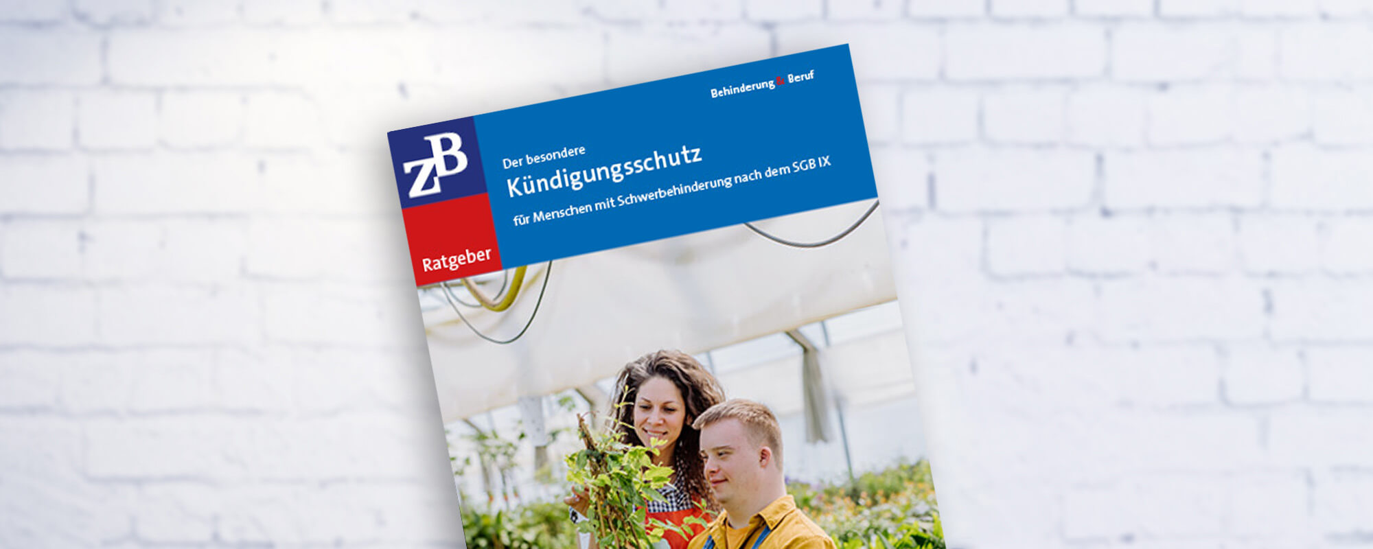 ZB Ratgeber Der besondere Kündigungsschutz