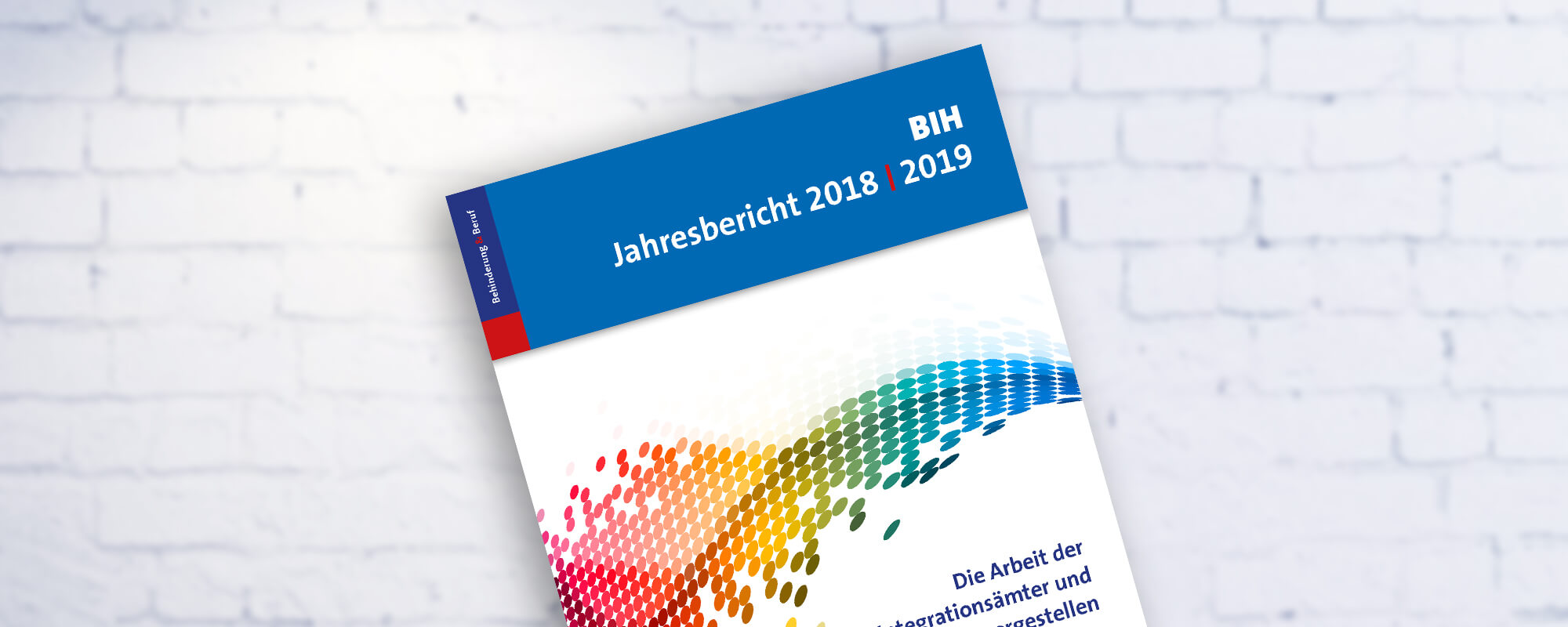 Cover des BIH-Jahresberichtes 2018-19. 