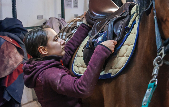 Fachpraktikerin für Pferdewirtschaft Celina Prehl erlernt als eine der ersten in Nordrhein-Westfalen den Beruf der Fachpraktikerin für Pferdewirtschaft.