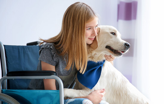 Eine junge Frau im Rollstuhl hält einen großen Hund im Arm