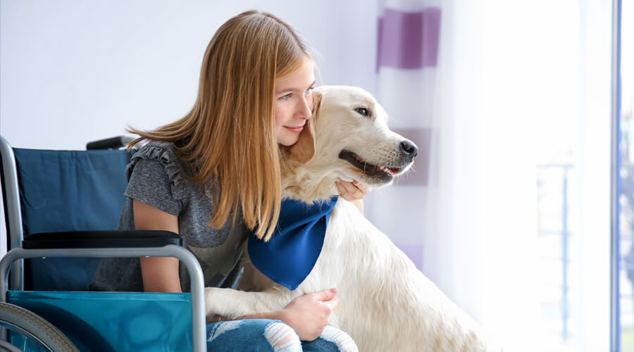 Eine Frau im Rollstuhl hält einen großen Hund im Arm.